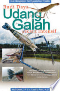 Image of Budi daya udang galah secara intensif