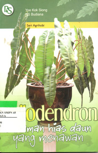 Image of Philodendron : tanaman hias daun yang menawan